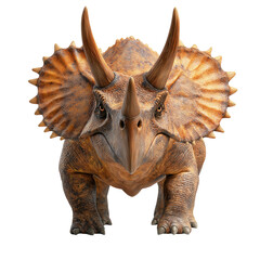 Fototapeta premium Front view of a realistic brown Triceratops dinosaur against a solid white background, detailed and lifelike prehistoric creature representation, perfect for educational, scientific, and entertainment