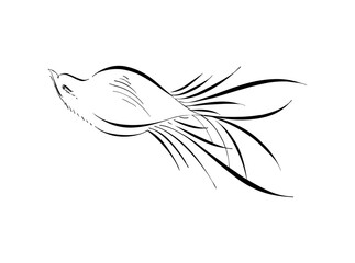 Download Elegant Single Bird Outline Logo SVG – Minimalist Avian Icon & Vector Design for Nature-Inspired Branding