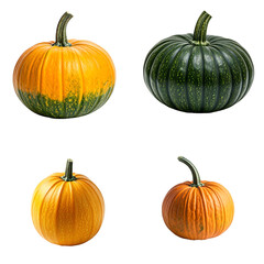 Vibrant Autumn Gourds: A Colorful Collection of Pumpkins, Isolated on Black Background, Showcasing Diverse Shapes and Sizes, Perfect for Fall Decorations and Festive Projects.
