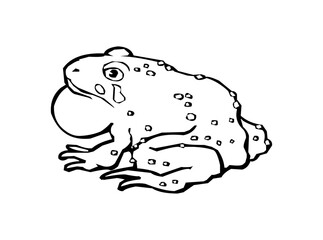 Creative Aquatic Animal Icon Logo Design – SVG Image File for Ocean Life, Marine Branding, Nature Projects, and Illustrations