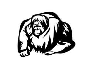 A vector illustration of an ape's head available for free download under the Public Domain license.