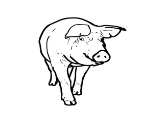 Adorable Cute Pig SVG Clipart – Farm Animal Vector for Cricut & Silhouette | Kawaii Piglet Digital Download