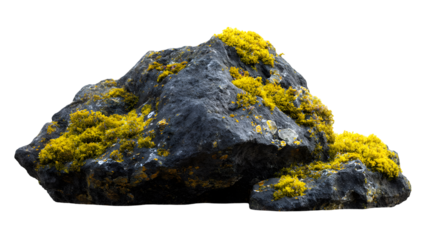 Moss covered rock nature scene