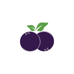 blueberry logo and vector template