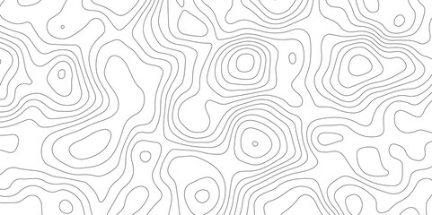 white background with gray contour lines depicting an abstract topographic map  A Perfect Fusion of Geometric Grid Lines, Topographic Patterns, and Minimalist Design Elements