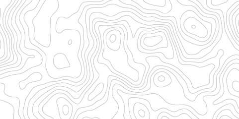 white background with gray contour lines depicting an abstract topographic map  A Perfect Fusion of Geometric Grid Lines, Topographic Patterns, and Minimalist Design Elements