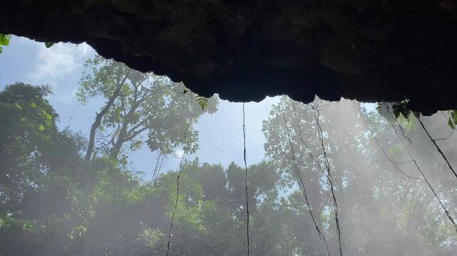 Looking Out From Cave at Lush Green Trees and Water Spray