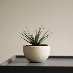 Serene Minimalist Plant in Speckled Pot