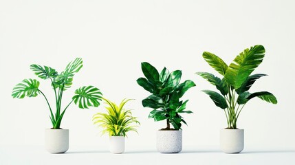 Fototapeta premium Modern Houseplants in Pots Green Foliage Indoor Plants