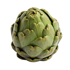 Fototapeta premium Close-Up View of an Artichoke