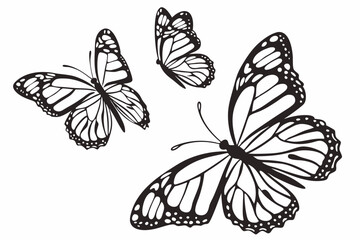 butterfly in different angel  silhouette vector illustration