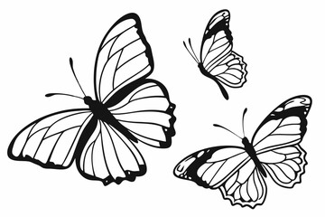 butterfly in different angel  silhouette vector illustration