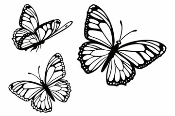 butterfly in different angel  silhouette vector illustration