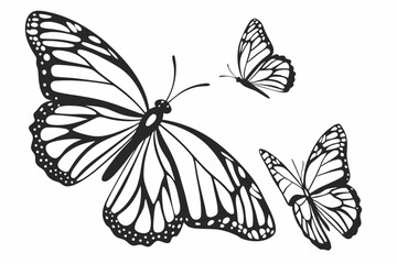 butterfly in different angel  silhouette vector illustration