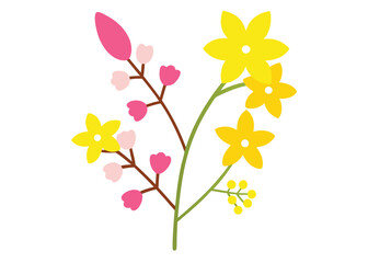 small-sprigs-of-yellow-flowers-of-berberis-thunber.eps