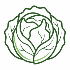 Cabbage outline icon on white background