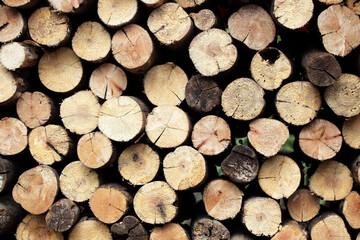 Close-Up View of Neatly Stacked Wooden Logs for Warmth and Design