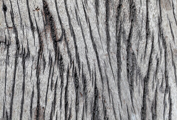 Close-up of Weathered Wood Surface with Natural Grain Patterns