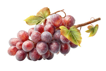 PNG Fresh cluster of dewy red grapes with green leaves on black background