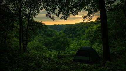 Serene Minimalist Tent Setup in Lush Eco-Friendly Forest at Dusk