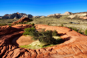 View of the Petrified Dunes Trail  from the Petrified Dunes, Snow Canyon State Park in Utah.