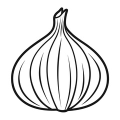 garlic outline vector illustration