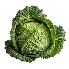 Fototapeta premium cabbage isolated on white background