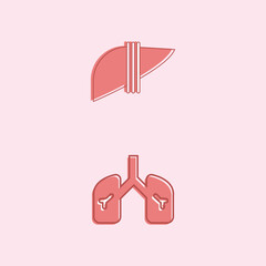 Human Internal Organs Icon Set