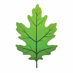 Fototapeta premium Vibrant green oak leaf illustration on white background, nature symbolism