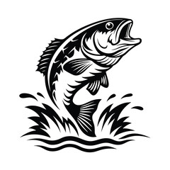 Black Silhouette of Largemouth Bass Fish Jumping Out of Water with Splash in Isolated View