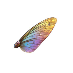 Iridescent Insect Wing, Close-up Macro Photography of a Colorful Cicada Wing