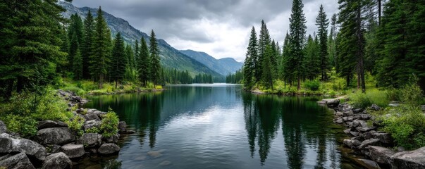 Scenic view of lake in pine forest with tree and rock concept. A serene lake surrounded by lush green trees and mountains.