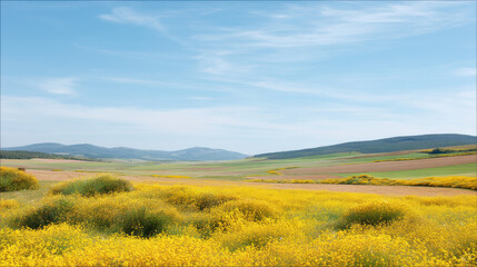 Fototapeta premium breathtaking summer landscape featuring expansive blooming fields in belgium filled with colorful wildflowers under
