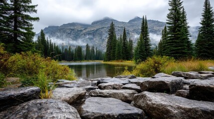 Obraz premium Scenic view of lake in pine forest with tree and rock concept. Serene lake surrounded by lush pine trees and majestic mountains.