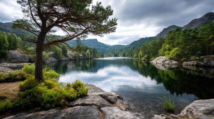 Fototapeta premium Scenic view of lake in pine forest with tree and rock concept. Serene lake view with trees, mountains, and reflections.