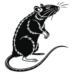 Black silhouette of a rat standing on hind legs, isolated on a white backdrop