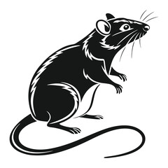 Black Silhouette of Standing Rat with Long Tail, Whiskers and Fur Pattern on White