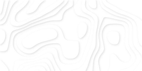 White paper cut art background abstract design for website template, 3d vector banner art paper topography pattern, geometric papercut style wavy background.	