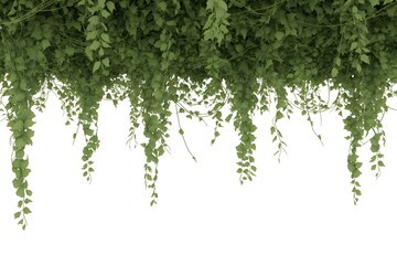 Naklejka premium Lush Green Hanging Leaves Curtain