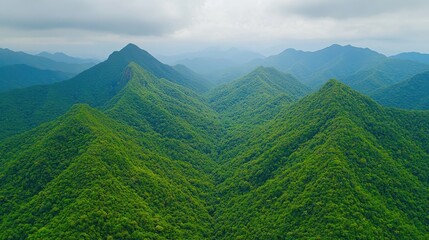 Naklejka premium Earth Day Concept. Capturing a stunning aerial view of lush green mountains enveloped in mist and cloud, this image showcases the serene beauty of untouched nature.