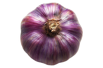 Purple garlic bulb, isolated on white transparent background. Concept of freshness and health.