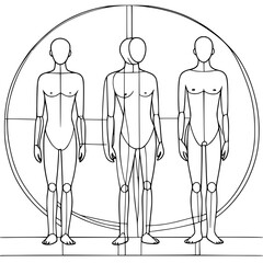 Vector illustration of human figures, with detailed body outlines of a man and woman