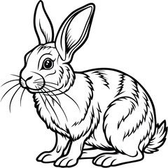 Black and White Line Drawing of a Rabbit Sitting Profile, Animal Outline Art
