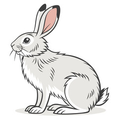 Hare Sitting GrayWhite Rabbit with Long Ears and Black Outlines Art