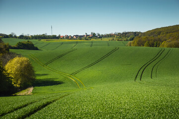 Country field road, Lower Silesia, Poland