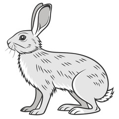 Hare Illustration, Isolated Cartoon Animal, Wildlife Icon, Detailed Fur Texture, Grey Color