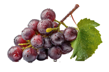 PNG Fresh red grapes with dew drops and leaf on black background