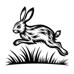 Leaping Hare in Black and White over Grass Wild Animal