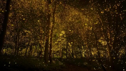 Enchanted forest with glowing lights, trees with gold lights, fantasy woodland atmosphere, fairy lights in the woods - Powered by Adobe