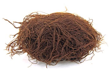 Obraz premium Ball of brown plant root fibers